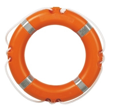Picture of Life buoy SOLAS 2.5 Kg