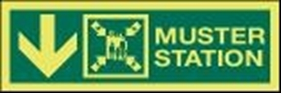 Picture of IMO Sign-muster st down 30x10