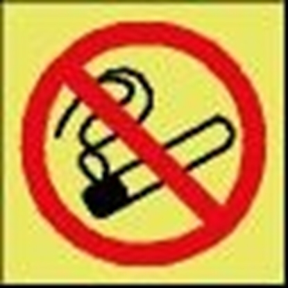Picture of Prohibition Sign-no smoking 15x15