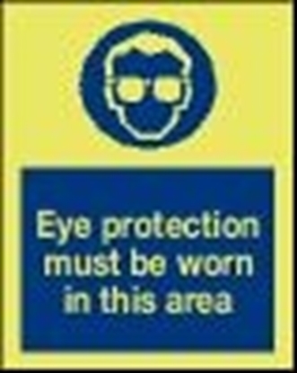 Safety sign-Eye protection must..15x20