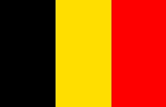 Picture of Flag Belgium