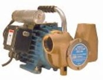 Picture of Utility 80' 1½" self-priming pump - 220V