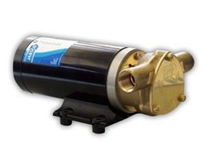 Picture of Jabsco 23610 Maxi Puppy bronze DC flexible impeller pump