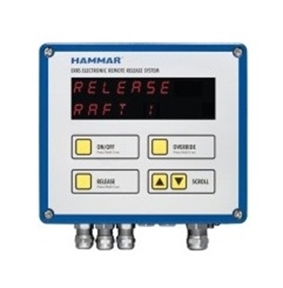 Picture of ERRS - Electronic remote release system