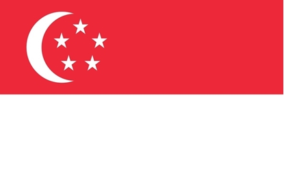 Picture of Bandeira Singapura