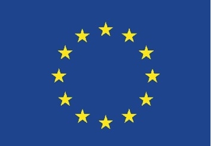 Picture of Flag C.E.E.