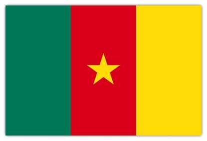 Picture of Flag Cameroon