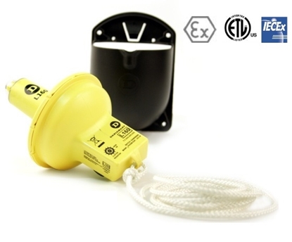 Picture of Daniamant ATEX L161 lifebuoy lights