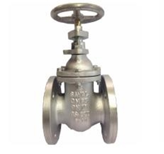 Picture of Flange gate valve FJ101-01