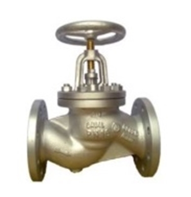 Picture of Globe valve FJ01-205