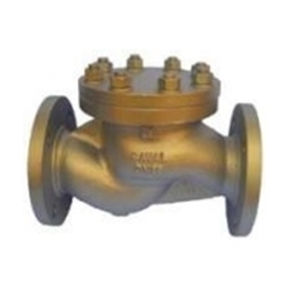 Picture of Check valve FJ01-303
