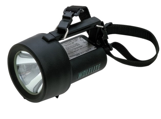Picture of Wolflite H-4DCA handlamp