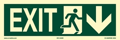 IMO Sign-exit down 30x10