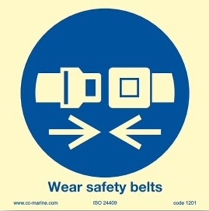 Picture of Fasten seat belts