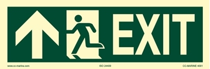 Picture of IMO Sign-exit up 30x10