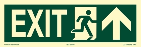 Picture of IMO Sign-exit up 30x10