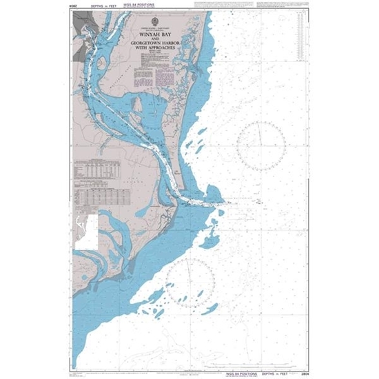 Picture of Winyah Bay and Georgetown Harbor with Approaches